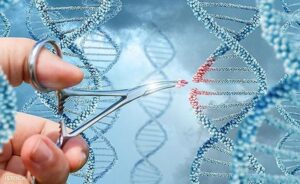 Bệnh di truyền (Genetic disorder) (Cập nhật đến ngày 13/1/2023)