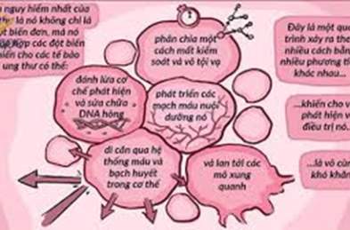 Ảnh tế bào